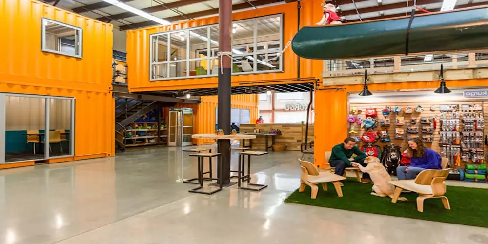 Why Designing A Pet-Friendly Space Is Important Delhi