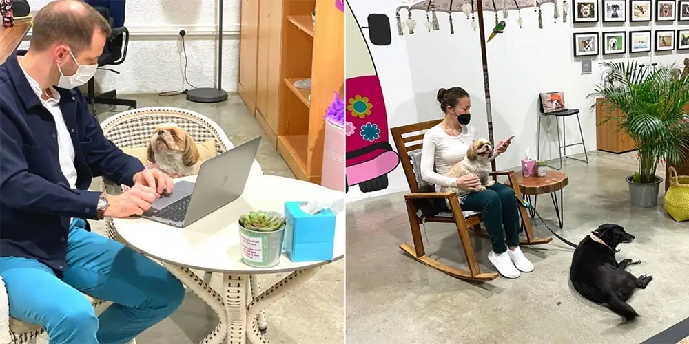 pet friendly coworking space Delhi